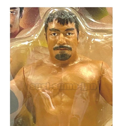 NJPW Takashi iizuka Figure Doll WCW NOAH - Picture 4 of 4