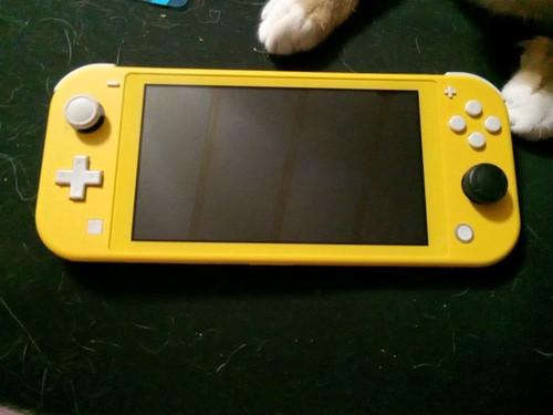 Nintendo Switch Lite Needs Parts - Power Button  Flex Cable and Battery