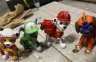 Foto 10 di 11