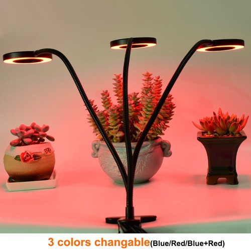 30W LED Table Lamp Clamp Clip Light USB Plant Grow Lighting Dimmable Blue/Red - Picture 13 of 20