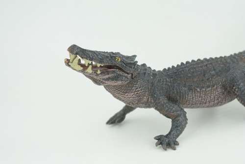Boar Crocodile Toy, Moving Jaws, Realistic Painted Rubber Model 10" CH838 BB195 - Bild 11 von 11