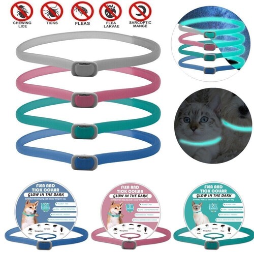 Anti Insekten Floh und Zeckenhalsband Leuchthalsband 8 Months für Hund Katzen - Bild 2 von 20