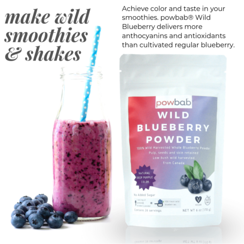 powbab Wild Blueberry Powder: 100% Whole Wild Blueberries (6 oz) Non-GMO, Vegan - Picture 4 of 7