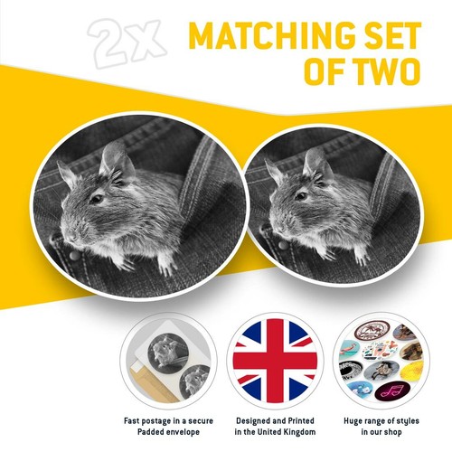 2 x Vinyl Stickers 20cm (bw) - Rodent Rat Chile Chilean Degu #36084 - Photo 2/8