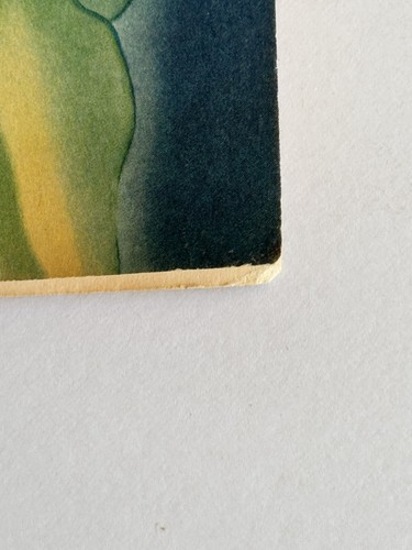 S. S. Argentina Dinner Menu Tropical Orchid Flowers Moore McCormack Lines 1950 - Bild 5 von 10