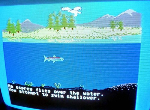 Commodore 64: ODELL LAKE Original Disk by MECC - Tested & WORKS - Picture 4 of 4