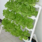 Foto 19 di 22