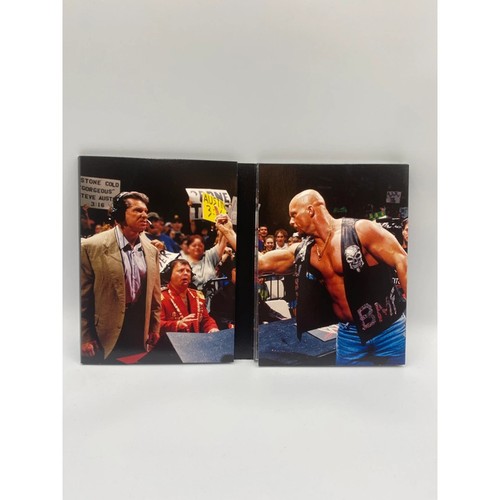 WWE WWF Silvervision DVD Lot Stone Cold Steve Austin Undertaker Shawn Michaels - Bild 8 von 14