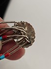 Foto 11 di 11
