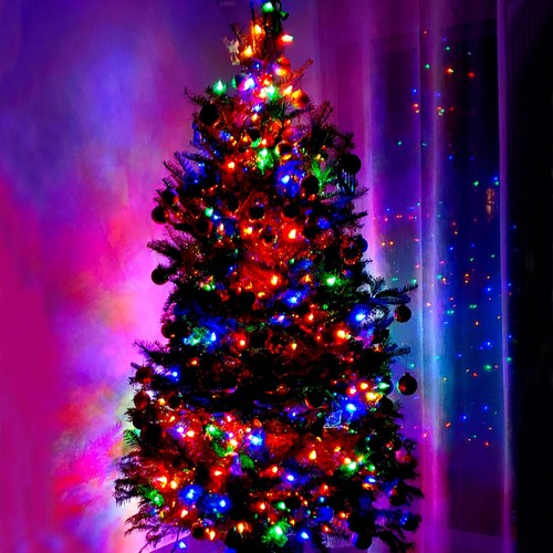 C9 LED Christmas Lights Outdoor, 25Ft Strawberry String Light 25 LED Multicol... - Bild 7 von 7