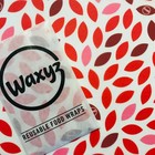 Reusable Vegan Food Wrap Waxys Small 180mm x 250mm Red Leaves
