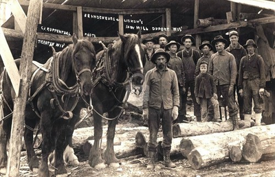#ad #ad Dupont WI Wisconsin Brandenburg amp; Liskow#x27;s Saw Mill RPPC Photo Postcard COPY $4.95