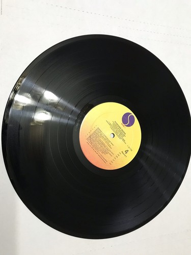 RAMONES Mania 2 LP VINYL GREATEST HITS 25709-1 Sire w/ Pic Sleeves VG+ - Foto 11 di 11