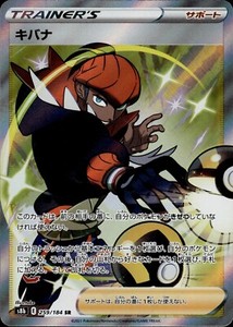 Raihan 259 SR VMAX Climax Japanese Pokemon Card B46 NM