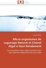 Micro-organismes de Lagunage Naturel et Chenal Algal à Haut Rendement von Hassen Allaya (2014, Taschenbuch)