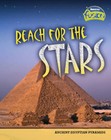 Reach for the Stars by Brian Williams, Brenda Williams (Hardback, 2007)