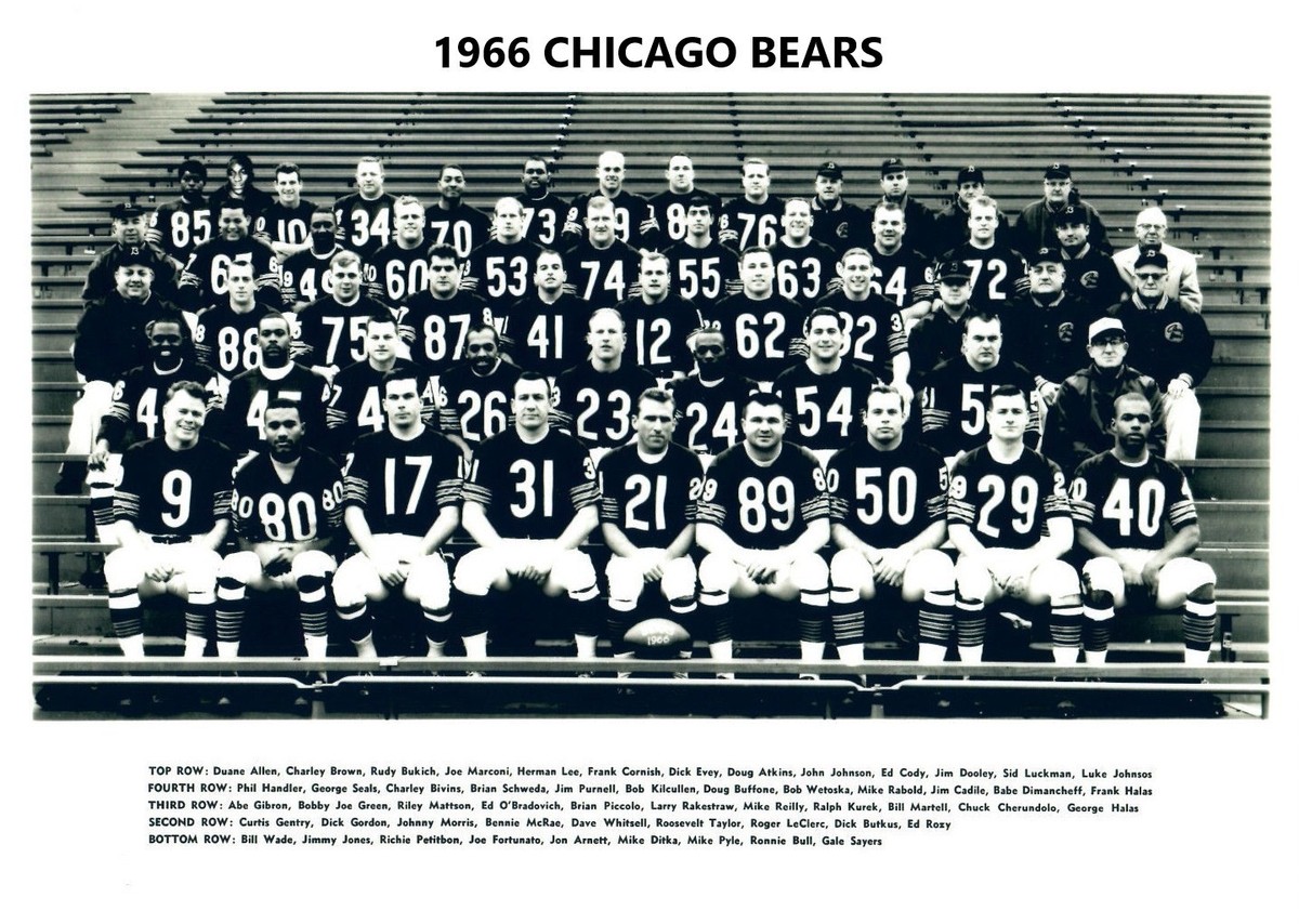 1966 CHICAGO BEARS 8X10 TEAM PHOTO FOOTBALL NFL PICTURE | eBay