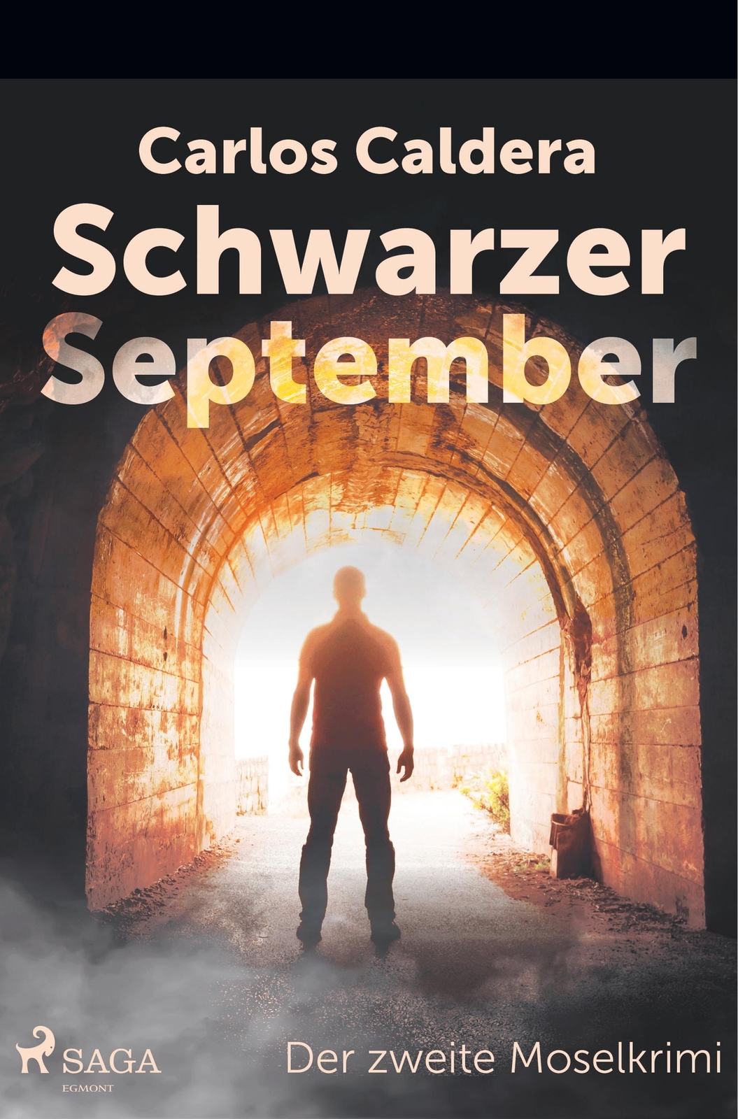 Schwarzer September - Der Zweite Moselkrimi | Buch | 9788726295306