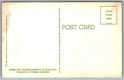 Postcard Cypress Gardens Florida c1956 Roses and Azaleas - Bild 2 von 2