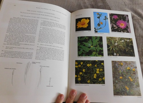 Wild Flowers of The United States Harold William Rickett NW States 1st ed Vol 1 - Picture 6 of 6