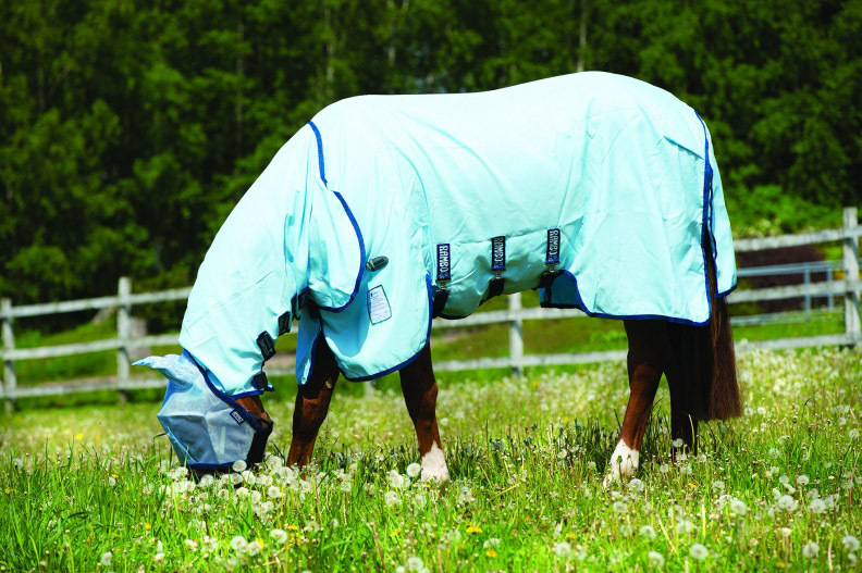 Horseware RAMBO Pony Sweet prurito Felpa con cappuccio VAMOS tappeto fly Repellente per zanzare 4' 0 -5' 3 Horseware RAMBO Pony Sweet prurito Felpa con cappuccio VAMOS tappeto fly Repellente per zanzare 4' 0 -5' 3