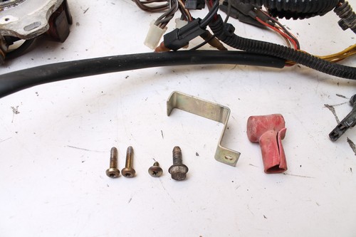 Polaris XPLORER 400 1999 ATV OEM cableado arnés bobina CDI estator velocímetro - Imagen 10 de 18
