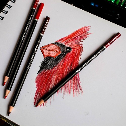 Colore Buntstifte - 48 Premium vorgespitzte Farbstifte Set zum Zeichnen C - Bild 3 von 12