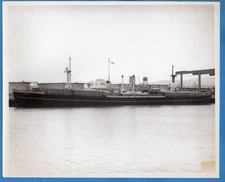 1940-50s Freighter SS Canopus 8x10 Original Photo