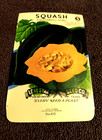 Old Vintage Lone Star Seed Co Acorn Squash Packet Empty 1940/50s