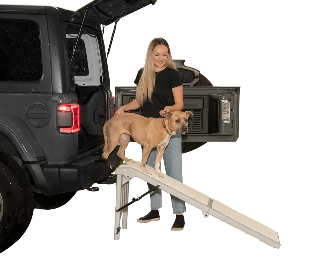 Pet Gear Free Standing Pet Ramp for Cats and Dogs No Assembly Required Easy. eBay