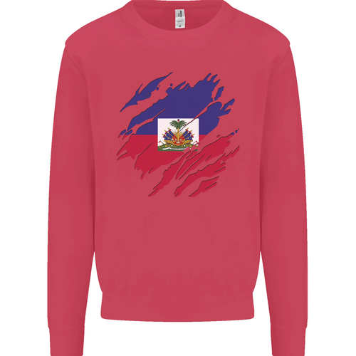 Torn Haiti Flag Haitian Day Football Kids Sweatshirt Jumper - 第 11/97 張圖片