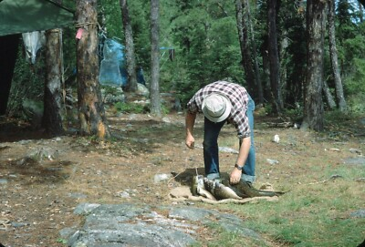 #ad 1967 Man Unhooking Caught Fish Camping Manitoba Canada #3 Vtg 35mm Color Slide $10.00