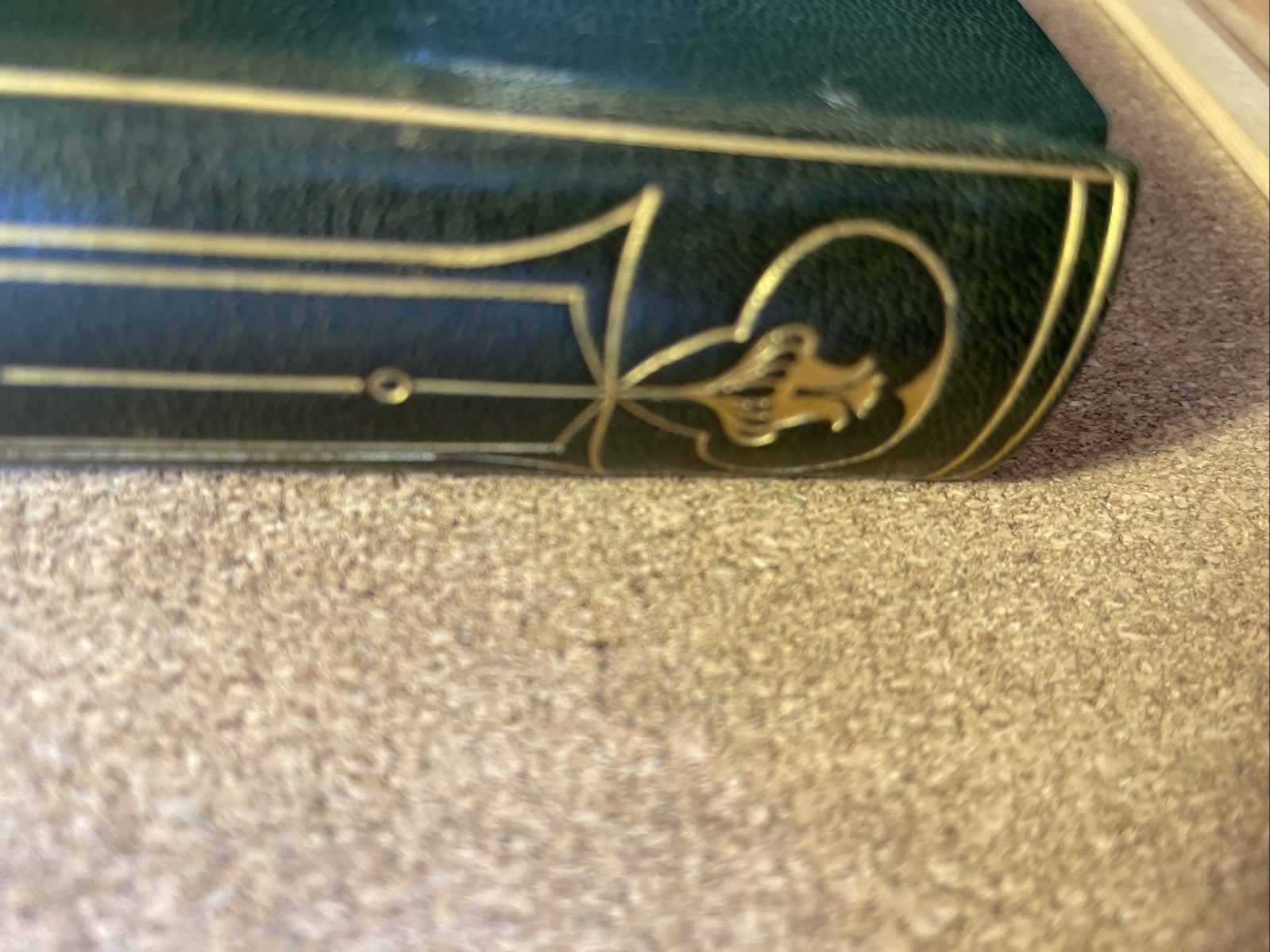 Picture 8 of 24