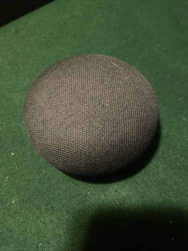 google home