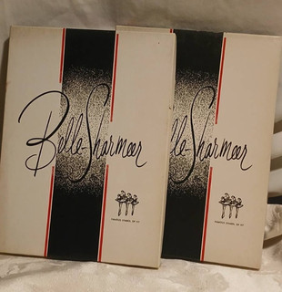Vintage Stockings Seamless Belle Sharmeer Nylon Duchess 4 pair NOS Sz 9.5 10.5