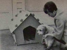 Knockdown Dog House How-To Build PLANS Easy to Clean Move Store Travel with