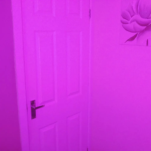 Full Spectrum LED Light | Visible & Ultraviolet UV & Infrared IR Ghost Hunting - Picture 15 of 24