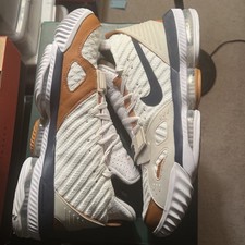 lebron 16 medicine ball price