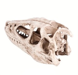 NEW Resin Dinosaur Skull Model Simulated Animal Skeleton Home Office Decor Craft NEW Resin Dinosaur Skull Model Simulated Animal Skeleton Home Office Decor Craft