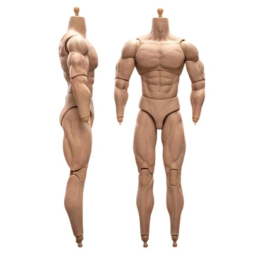 1/6 Scale BD003 Muscular Male Action Figure Body For 12" Hot Toy Soldier Head 9S - Picture 6 of 13