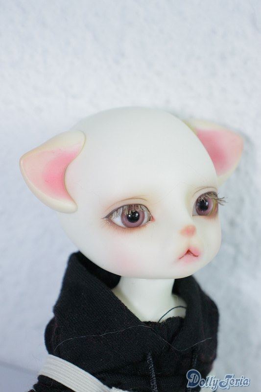 LUTS ZUZU delf LIO The PirAte Limited A 24 07 31 1133 TN ZU LUTS ZUZU delf LIO The PirAte Limited A 24 07 31 1133 TN ZU