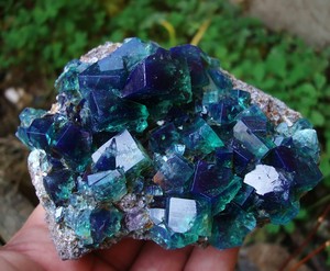 5490-Fluorite-Fluorine-Fluorite-Twin-daylightflourescence-UV-Rogerley-GB