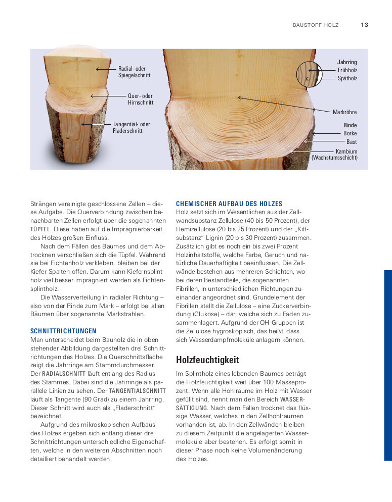 Bild 7 von 17