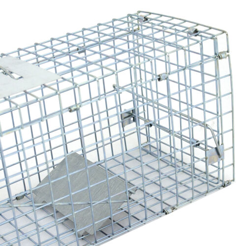 24 Inch Humane Live Animal Trap Cage Catch Release for Rabbit Squirrel, Raccoon - Picture 8 of 9