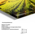 Bild 4 von 7