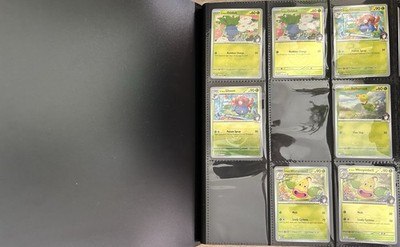 Ascended Heroes Master Set (Only Pokemon) 75% Completed
