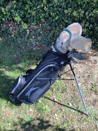 Ladies Golf Clubs Driver 3-5 Woods Irons Sw Pw Putter New Golf Stand Bag - Picture 3 of 20
