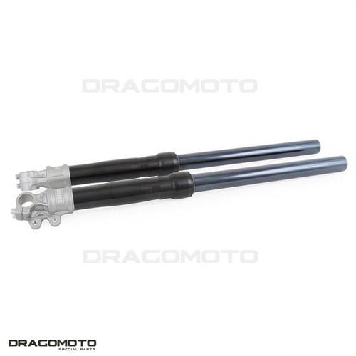 BMW R nine T Scrambler / URBAN GS forcella nera OHLINS FG 621 43 retrò - Foto 3 di 7