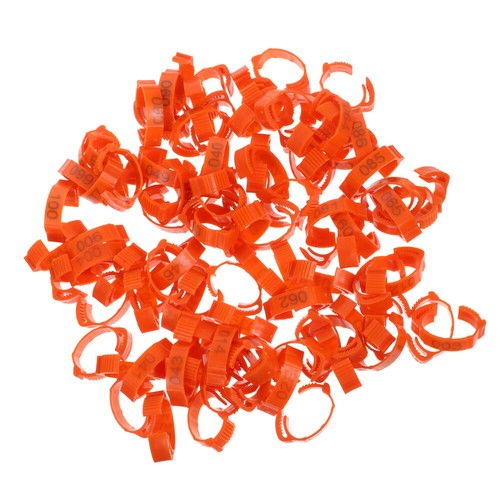 100 Pcs Volaille Jambe Sangle Pigeon Étiquettes pour Pieds magasin Poulet Jambes Bébé