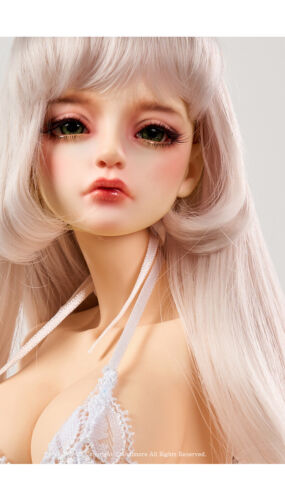 Dollmore NEW doll Model Doll F - Glamour Joanne (Normal)( Face-Up) - Picture 2 of 20